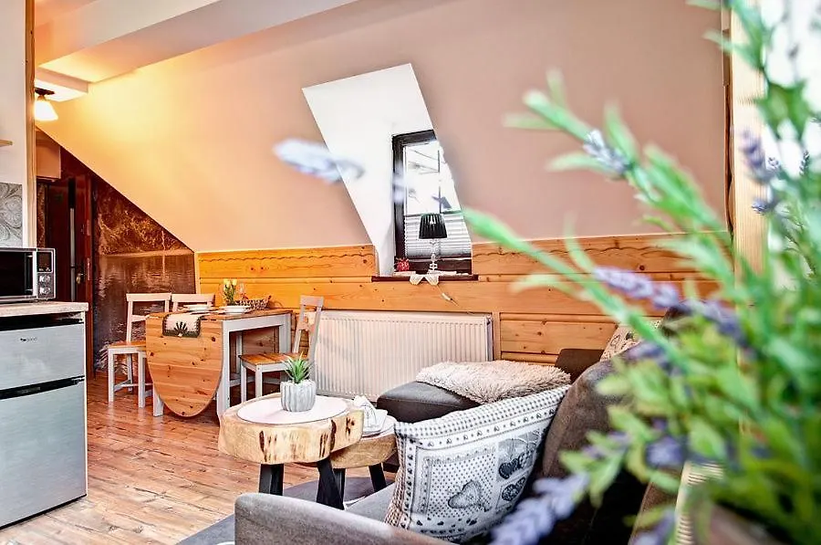 Apartmán Willa Kasprowy Zakopane Polsko